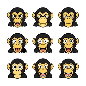 猩猩不同情绪状态的组合