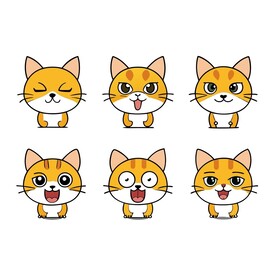 猫不同情绪状态的组合