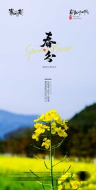 医美地产春分海报