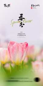 医美地产春分海报