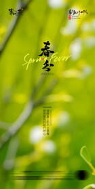 医美地产春分海报