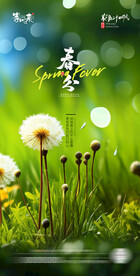 医美地产春分海报