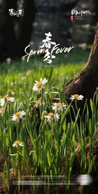 医美地产春分海报