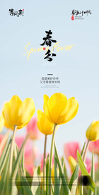 医美地产春分海报