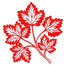 剪纸风格的香菜