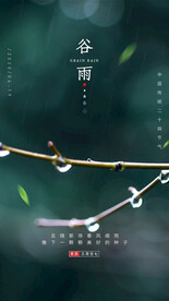谷雨
