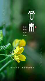 谷雨