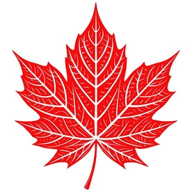 剪纸风格的枫叶