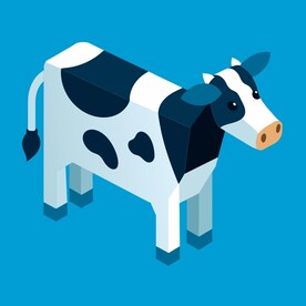 3D效果视角奶牛