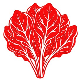 剪纸风格的菠菜