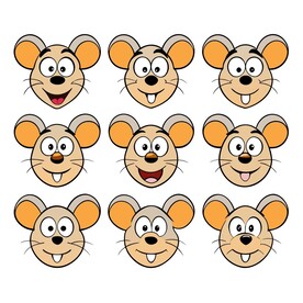 鼠不同情绪状态的组合