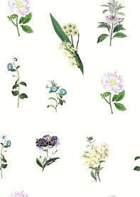 无缝   乱花 手绘花    