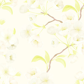 无缝   乱花 手绘花    