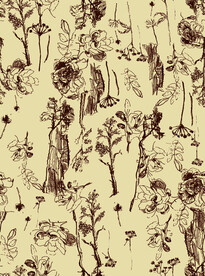 无缝   乱花 手绘花    