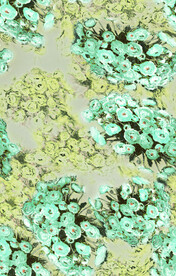 无缝   乱花 手绘花    