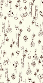 无缝   乱花 手绘花    