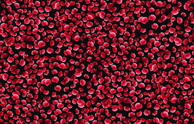 无缝   乱花 手绘花    