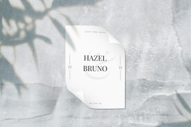 北欧风阳光植物树影光影阴影效果