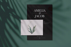 北欧风阳光植物树影光影阴影效果