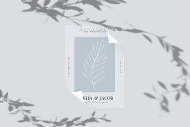 北欧风阳光植物树影光影阴影效果