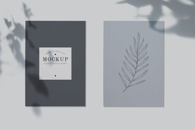 北欧风阳光植物树影光影阴影效果