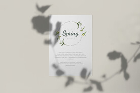 北欧风阳光植物树影光影阴影效果