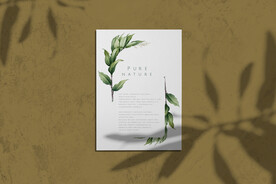 北欧风阳光植物树影光影阴影效果