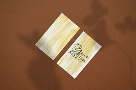 北欧风阳光植物树影光影阴影效果