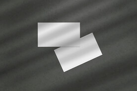 北欧风阳光植物树影光影阴影效果