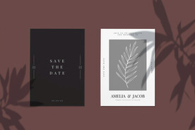 北欧风阳光植物树影光影阴影效果