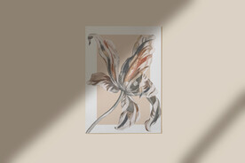 北欧风阳光植物树影光影阴影效果