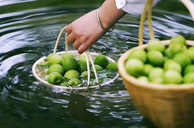清洗青梅