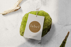 卡片名片海报纸袋文创贴图样机