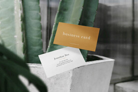 卡片名片海报纸袋文创贴图样机