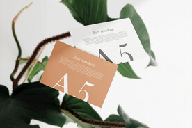 卡片名片海报纸袋文创贴图样机