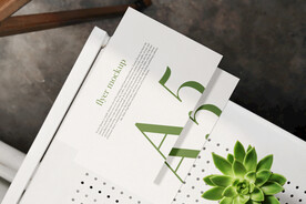 卡片名片海报纸袋文创贴图样机