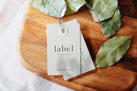 卡片名片海报纸袋文创贴图样机