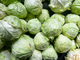 卷心菜