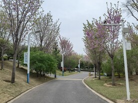 郑州园博园春天花红柳绿