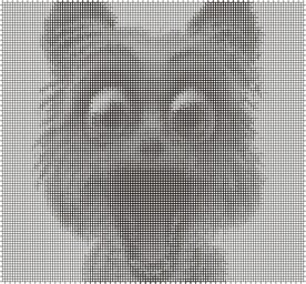 网格底纹图