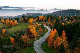 森林风景背景图片