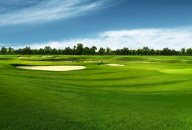 草地风景背景图片