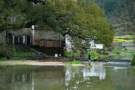 婺源虹关村图片