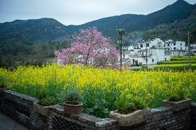婺源虹关村图片