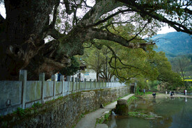 婺源虹关村图片
