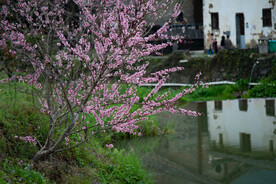 婺源虹关村图片