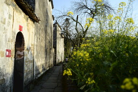 婺源思溪延村图片