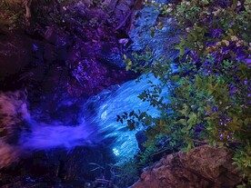 婺源篁岭花溪水街夜景图片