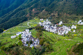 婺源乡村风光