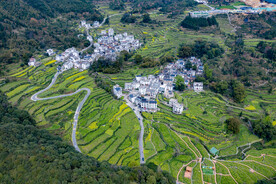 婺源乡村风光